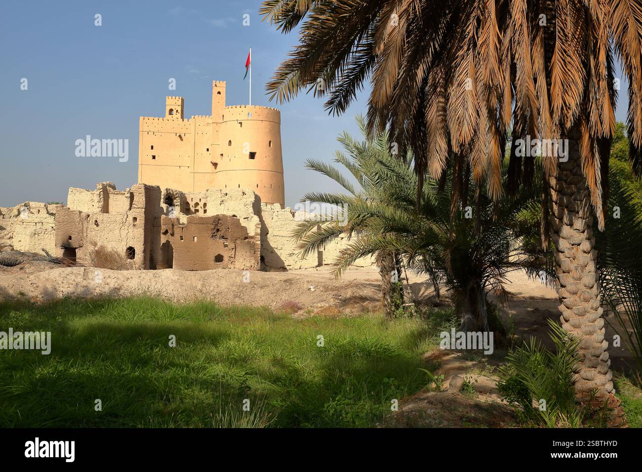ولاية منح